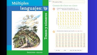 Múltiples lenguajes trazos y números página 30 │Cuenta de cinco en cinco [upl. by Aihsenak760]