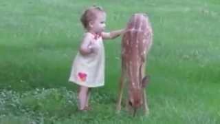 A baby human pets a baby deer fawn BEAUTIFUL [upl. by Ami]