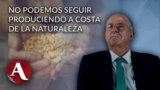 Prohibir maíz transgénico y las otras propuestas de Julio Berdegué futuro secretario de Agricultura [upl. by Yobybab]