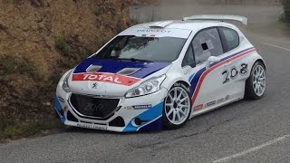 test 208 t 16 en corse sebastien chardonnetkevin abbring et yan cerny [upl. by Matland]