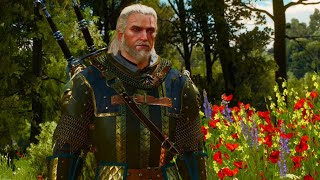 Part 28  Secondary Quest Toussaint  The Witcher 3 Wild Hunt Walkthrough Gameplay PS5 [upl. by Annohsal77]