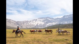 Nomads of Iran  Als Nomaden trekken door het Zagrosgebergte [upl. by Rases]