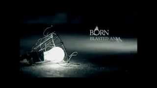 BORN  Blasted animals PV Lyric [upl. by Brenden629]