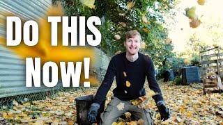 Do THESE Jobs In November To Prepare Your Garden For Winter [upl. by Nayrbo854]