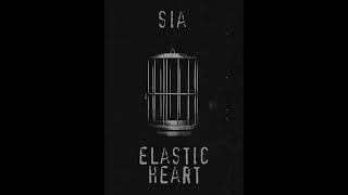 Elastic Heart  Sia  Cinematic Cover [upl. by Lunsford971]