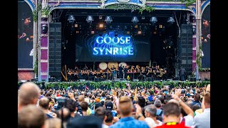 Symphony of Unity  Tomorrowland Belgium 2019  W2 [upl. by Yelserp]