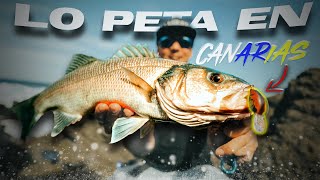 Especies IMPOSIBLES con este SEÑUELO Crankbait  Lured Vlog 310 [upl. by Birdella]