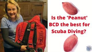 Tecline Peanut 16L BCD Review  Best Recreational BCD [upl. by Semela51]