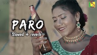 Paro  New Santali Lofi Song 2024  slowed  reverb  Rajendra Puja  Lofi Santali Music [upl. by Mook]