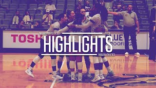 Volleyball vs Canisius Highlights 10224 [upl. by Thane]