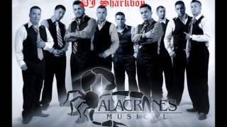 Alacranes Musical MixDJ Sharkboy [upl. by Johppah811]