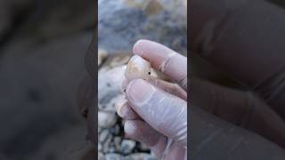 Jade huntingquotCrystal discovering in river side😱crystals gemstones stones malachite naturalgems [upl. by Euqinay]