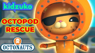 ​Octonauts  🌊 Flooding the Octopod 🎐  Full Episodes Marathon  Kidzuko [upl. by Yhtommit275]