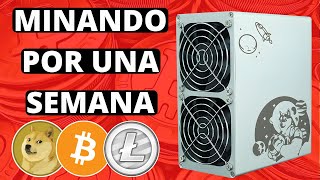 ✅Es Rentable Minar Criptomonedas😯Goldshell Dogecoin Miner [upl. by Ralaigh]