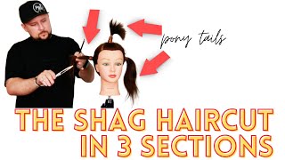 HOW TO CUT A SHAG HAIRCUT IN 3 SECTIONS  TIKTOK TREND SHAG HAIRCUT  shag mullet wolf cut [upl. by Nylrehc]