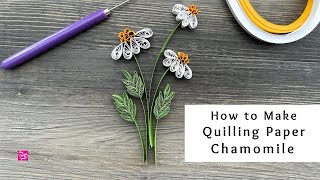 How to Make Quilling Paper Chamomile Flowers and Leaves  Quilling for Beginners [upl. by Schwejda]