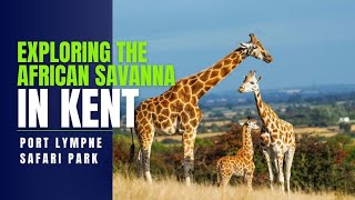 How to visit an African safari in the UK  Port Lympne tour 2024 [upl. by Ynattirb]