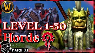 How I Level Horde 150 ❤️ Shadowlands [upl. by Annaor]