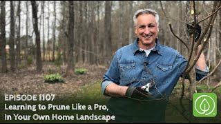 Growing a Greener World Episode 1107 Learning to Prune Like a Pro In Your Own Home Landscape [upl. by Rehctaht41]