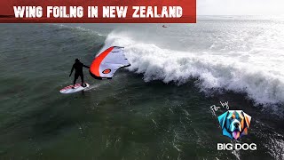 Wing Foiling in waves in New Zealand 4k [upl. by Nelag]