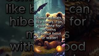 Why Do Some Animals Hibernate [upl. by Aenahs]