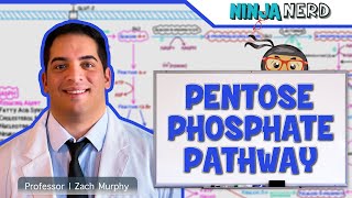 Metabolism  Pentose Phosphate Pathway [upl. by Ettenuj]