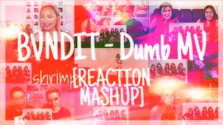 밴디트 BVNDIT  Dumb MV – REACTION MASHUP [upl. by Ahsiea669]