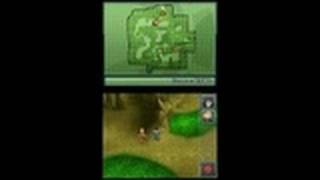 Chaotic Shadow Warriors Nintendo DS Gameplay  Melke Vs [upl. by Eusebio419]