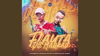 FLAUTA DO MAGRÃO feat MC Magrinho Mc Gw [upl. by Ahsehyt]