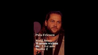 Pala Friesen – Warum weinst du Die Geschichte hinter dem Song [upl. by Haik]