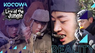 Mukbang quotLaw of the Junglequot Minho amp Kang Daniel Eating Show [upl. by Tram]