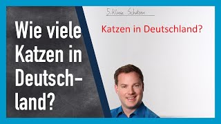 5 Klasse Schätzen Wie viele Katzen gibt es in Deutschland [upl. by Chevalier]