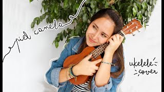 Piel Canela UKELELE COVER [upl. by Aihsyt]