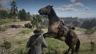 Horse Fight  RDR2 GNULinux gameplay [upl. by Sirapal]