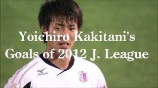 柿谷曜一朗 Ｊリーグ 2012 全11ゴール集  Yoichiro Kakitanis All Goals of 2012 J League HD [upl. by Ossy]