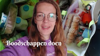 WEEKBOODSCHAPPEN VAN LIDL  OEPS EEN ONGELUKJE  VLOG 213 [upl. by Collen]