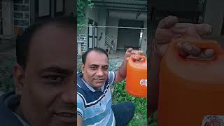 Ye Bhi Hai Sabjiyo Ka Achook Upay minivlogs dailyminivlogs villagelife palfamilyvlogs [upl. by Nocaj]