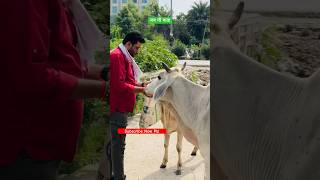 Sab kuchh inke pas h akar to dekho song music yt cow premanand lovemusic motivation shorts [upl. by Gaudet]