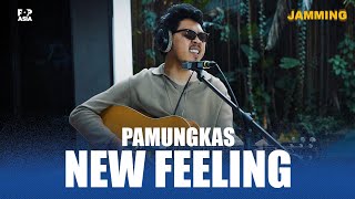 PAMUNGKAS  NEW FEELING  LIVE 19 [upl. by Altaf482]