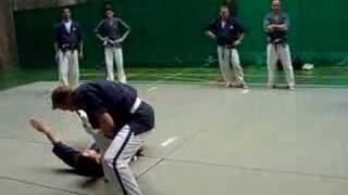 Module 1 Aiki Yoseikan Budo [upl. by Arnuad]