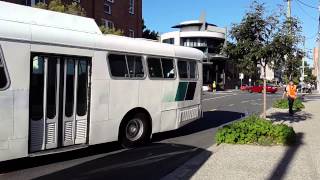 Queensland Omnibus amp Coach Society QOCS ex BCC Leyland Panther 721 Teneriffe Festival [upl. by Teerprah84]