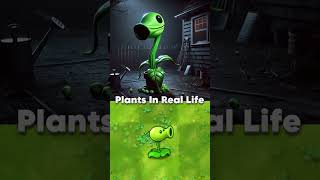 PVZ Plants in real life plantsvszombies funnyshorts pvz funnymoments [upl. by Aytak]