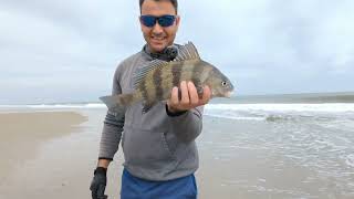 How to Fish in Rough Surf Catching Multiple Species at Cape Hatteras Outer Banks [upl. by Duvall254]