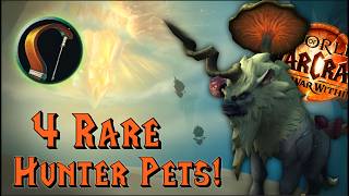 Get these 4 Rare Hunter Pets in the War Within [upl. by Gillead]