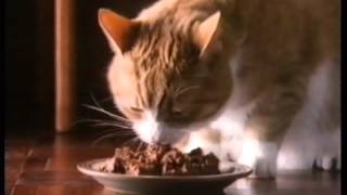 Whiskas 1986 TV advert [upl. by Eilrahc]