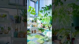 Indoor Plant Trends for 2024 [upl. by Lj]