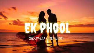 Ek phool 🦋🌺 Marathi trending lofi song  onkar swarooppriyanka barve [upl. by Hisbe]