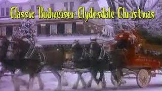 Classic Budweiser Clydesdales Christmas Commercial [upl. by Maccarthy]