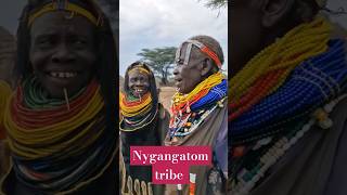 Nygangatom tribe Nygangtom tribe tribalmarriage [upl. by Cassaundra333]