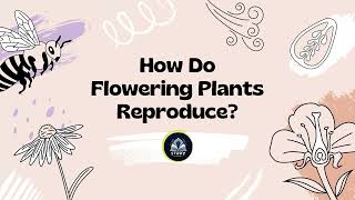 Flower Structures and Functions  Pollination  Fertilization  Reproduction in Flowering Plants [upl. by Anyt]